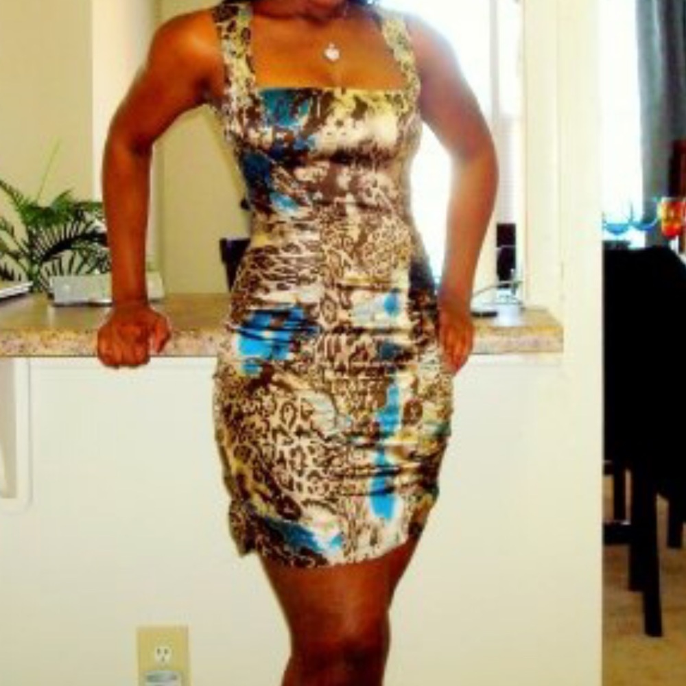 Multicolored Arden B Dress